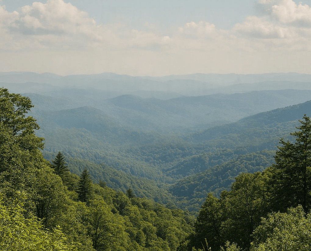 Virtual therapy in Tennessee